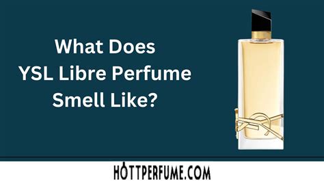 ysl perfume libre australia|YSL libre perfume smell like.